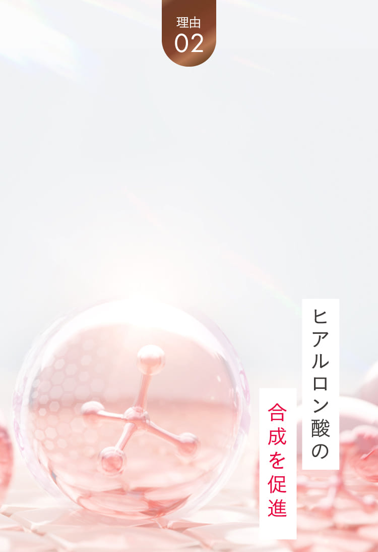 理由02